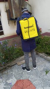 pest control cost